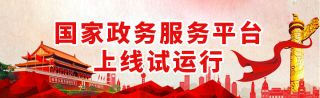 国家政务服务平台上线试运行